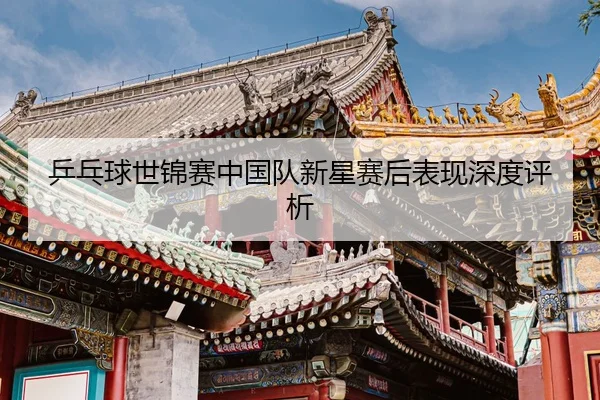 乒乓球世锦赛中国队新星赛后表现深度评析